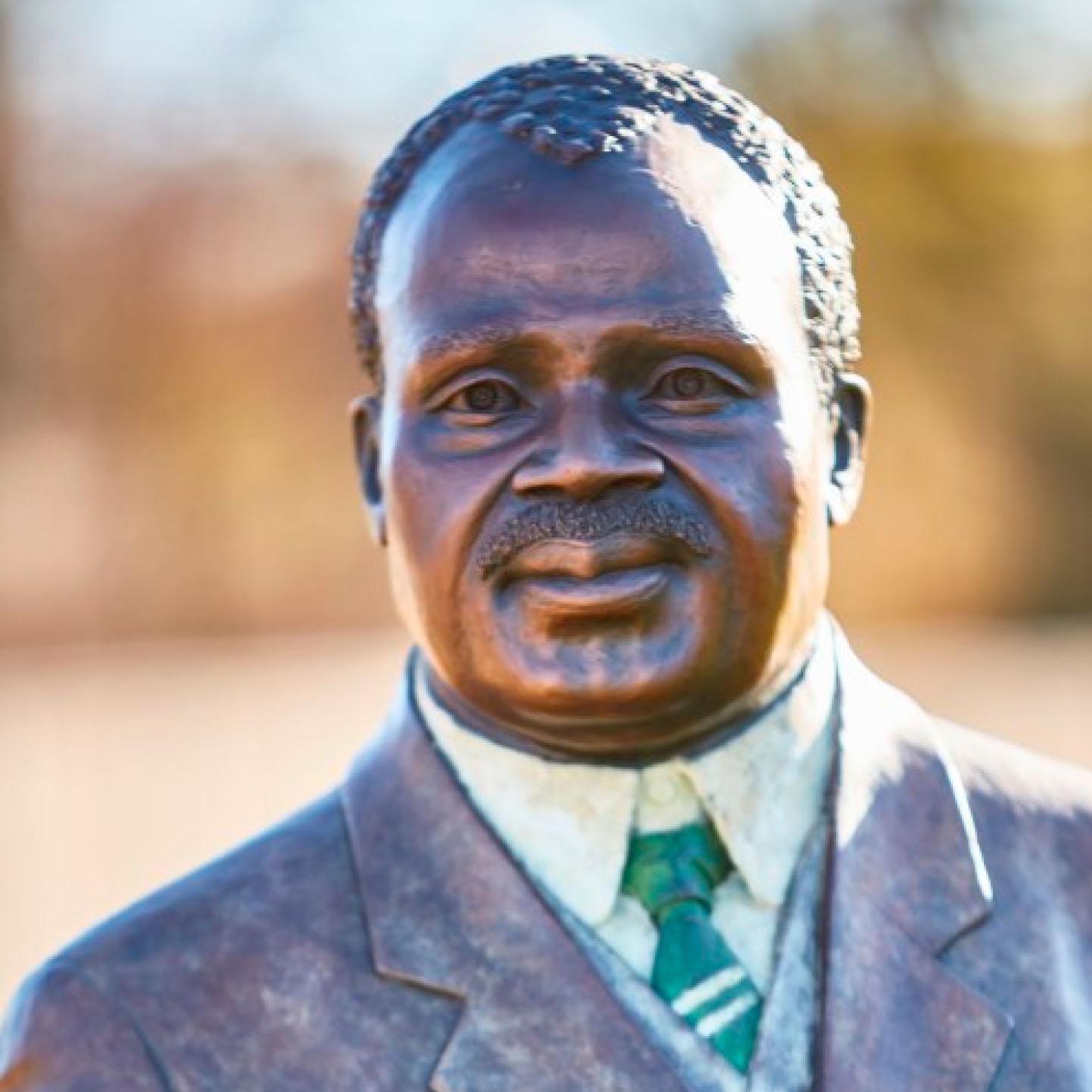 Josiah Gumede image